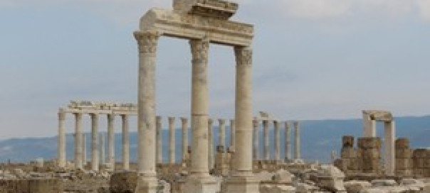 article_image_full