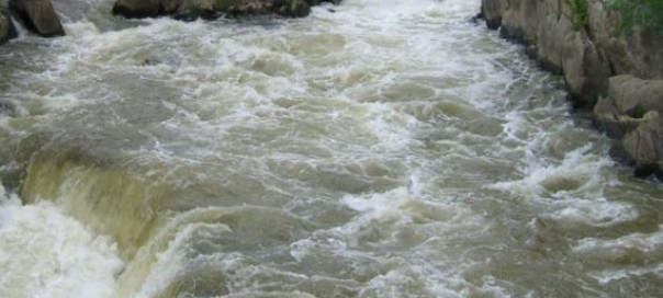 article_image_full