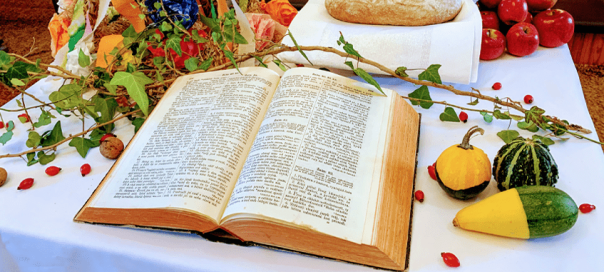 article_image_full